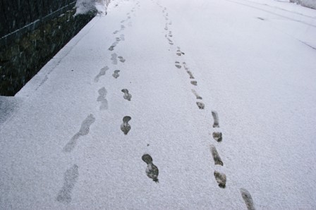 f0036603_1625410.jpg