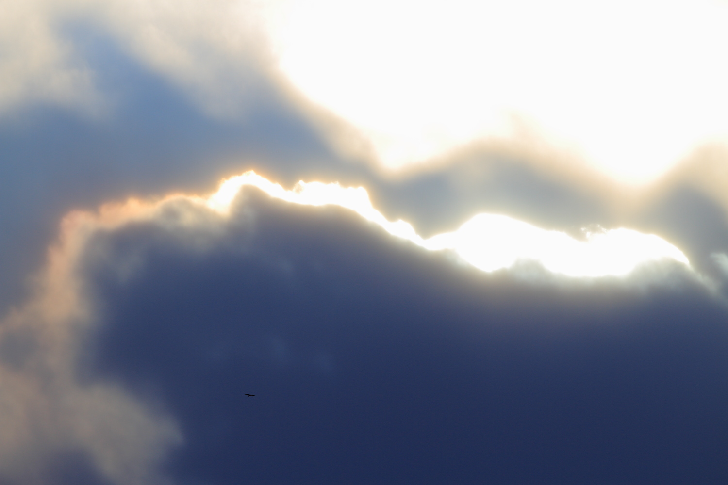 a0155104_1256233.jpg