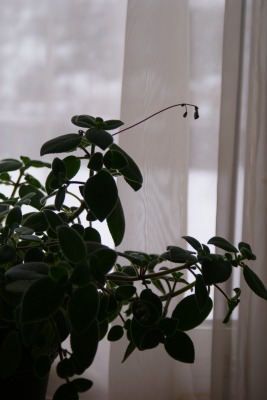 f0170524_14121745.jpg
