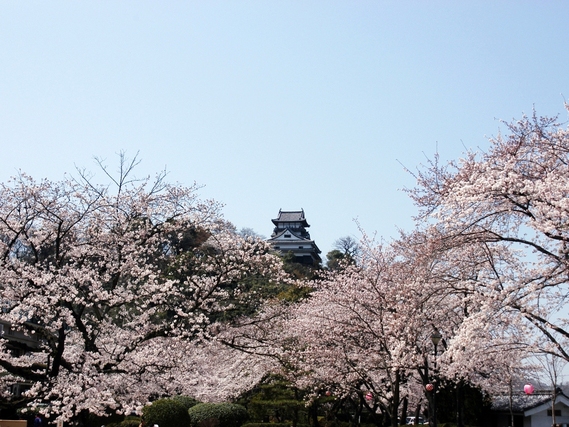 国宝犬山城がバック　おすすめ写真スポット_a0134734_1775128.jpg