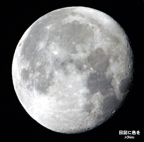 c0227134_7404155.jpg