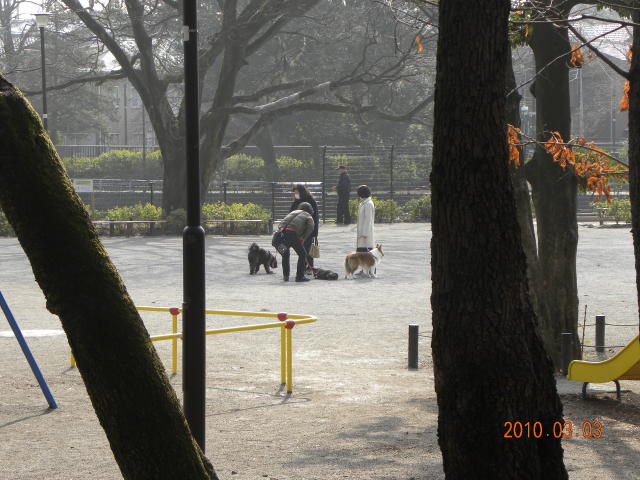 c0102545_17973.jpg