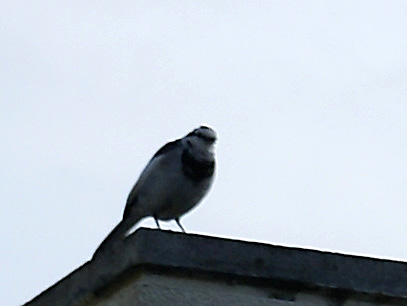 f0031546_22431395.jpg