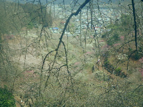 e0069647_18301034.jpg