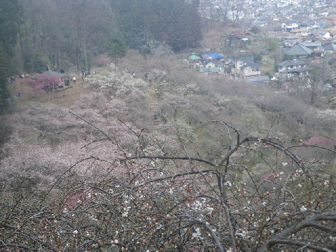 e0069647_18301956.jpg