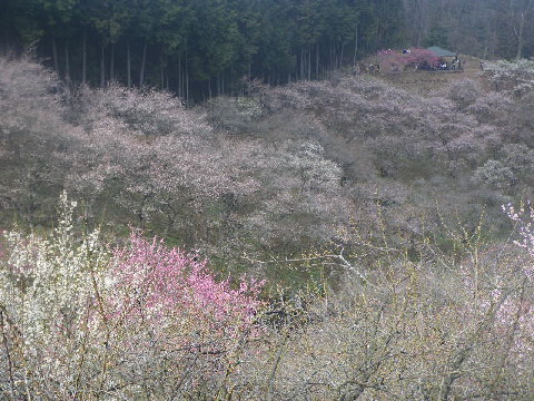 e0069647_18305792.jpg