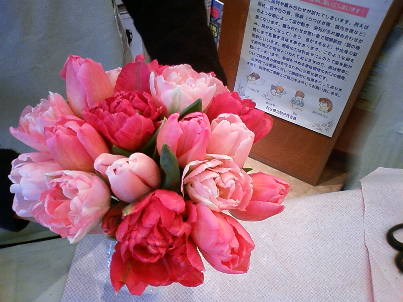 a0120750_7554957.jpg