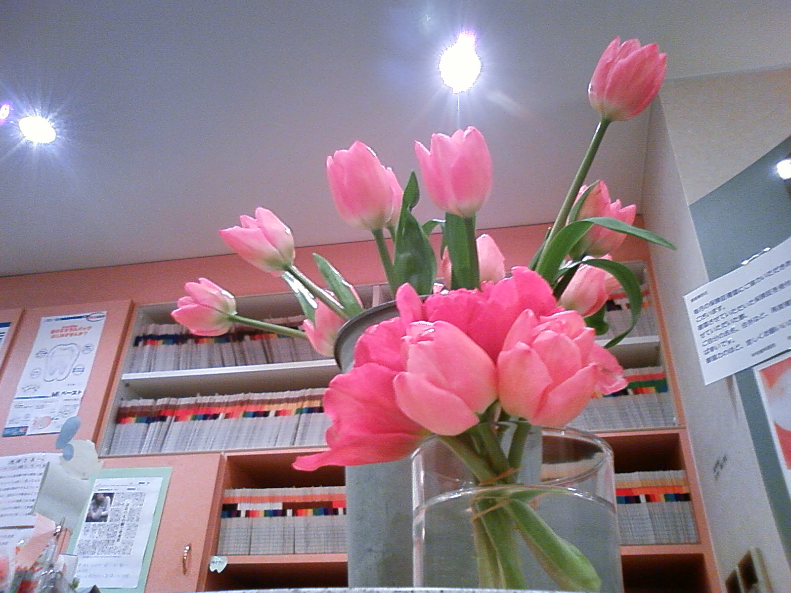 a0120750_802711.jpg
