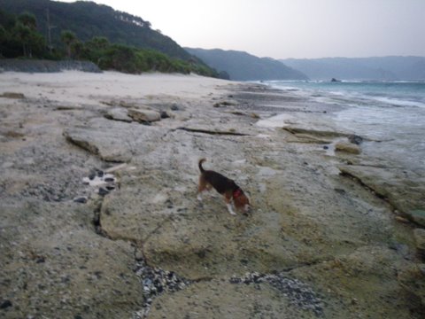 f0046250_3143623.jpg