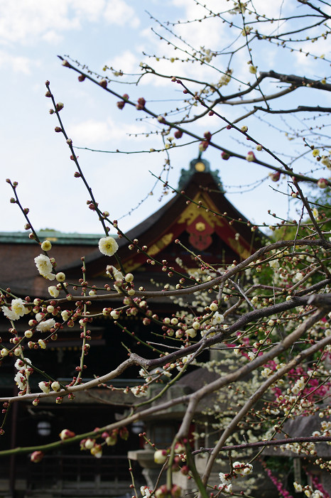 f0152550_22202697.jpg