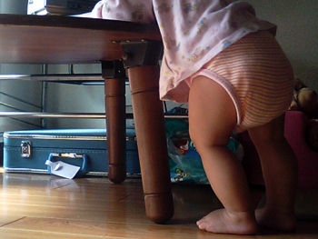 b0168851_114921.jpg