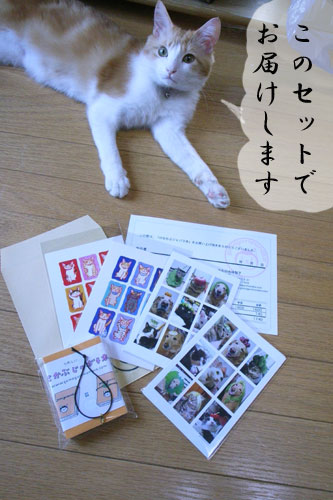 ご心配をかけました_a0064067_2102331.jpg