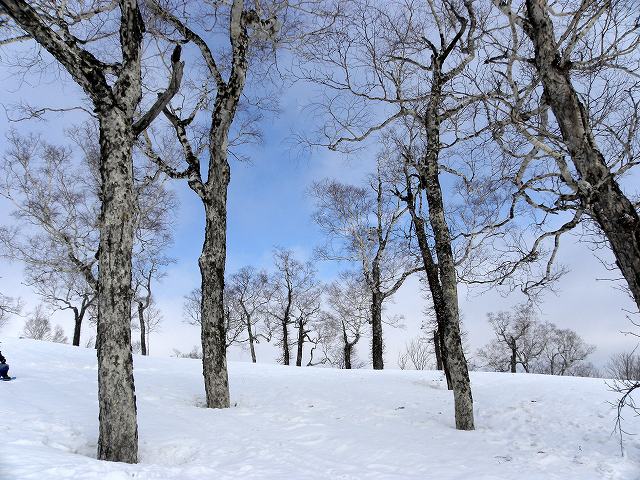 2月の「小喜茂別岳」_e0122168_223527100.jpg