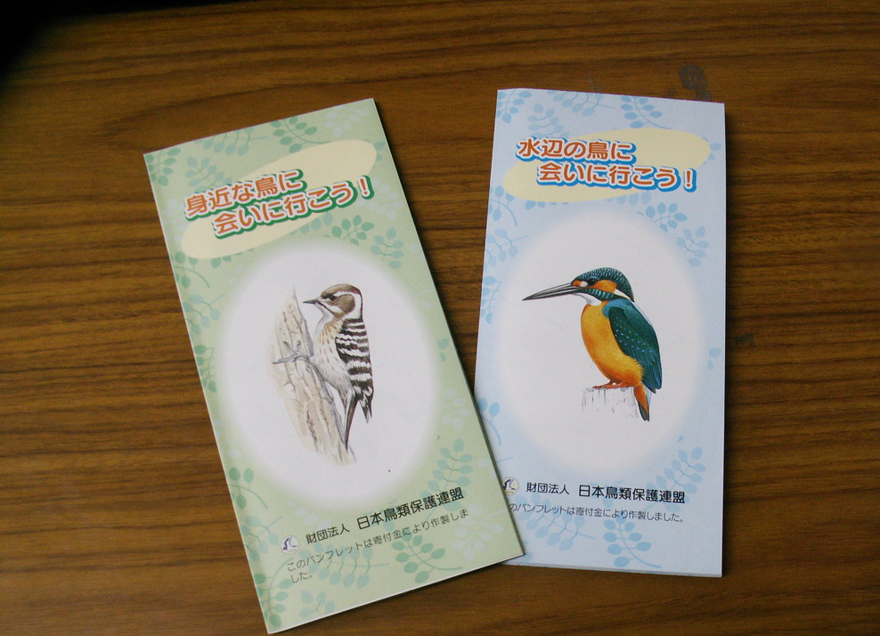 ★日本鳥類保護連盟さんのパンフレット_e0046474_16561630.jpg
