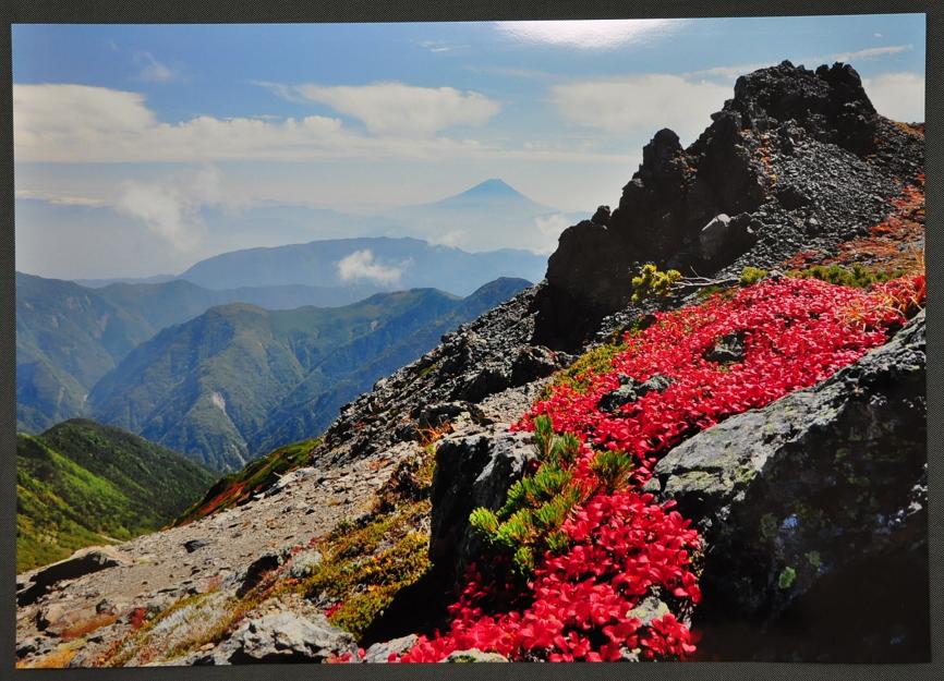 紅葉の南アルプス白峰三山_f0220774_15163039.jpg