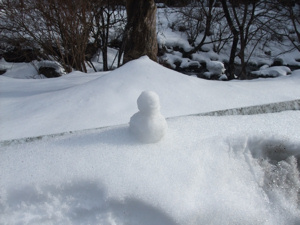 雪の武尊温泉 その2_c0173978_23541937.jpg