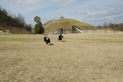 神崎緑地（梅園）に観梅に行ってきました_f0104284_17222439.jpg