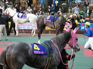 a0161290_2234813.jpg