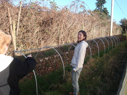 『Ｕｍｉｎａｍｉ　Ｆａｒｍ　　vol.7』_c0119891_063027.jpg