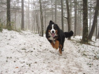 雪遊び in 清里～♪_c0123692_22235645.jpg