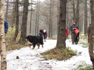 雪遊び in 清里～♪_c0123692_22242320.jpg