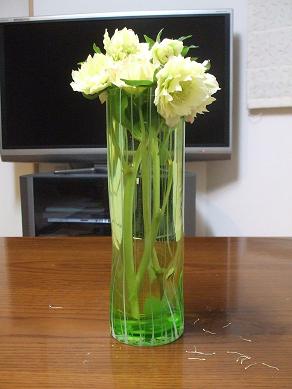 f0179203_16175123.jpg
