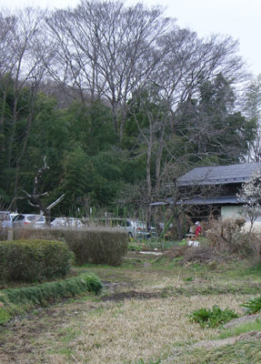 蕗のとう通信39 2010年3月4日(木)_b0129807_14212579.jpg