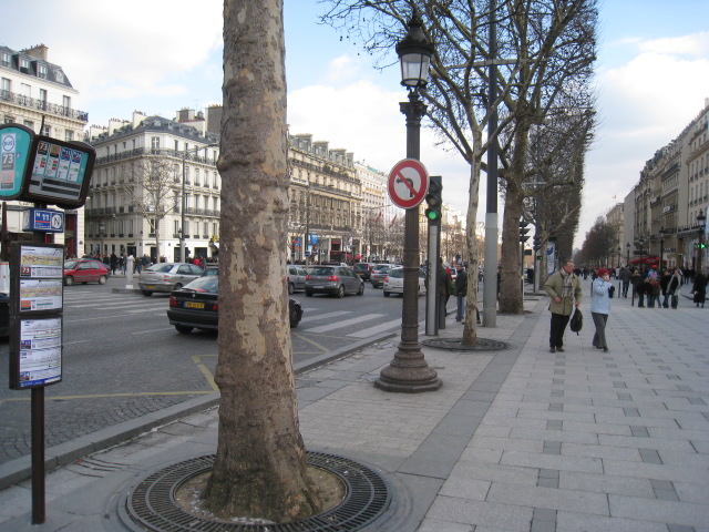 Tour Eiffel   /  Arc de Triomphe_c0107615_22113096.jpg