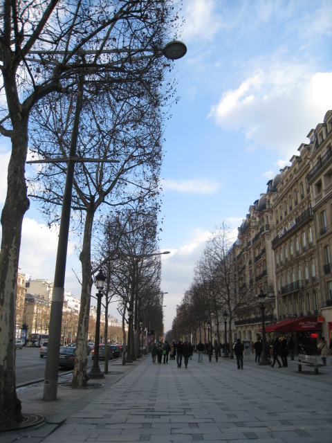 Tour Eiffel   /  Arc de Triomphe_c0107615_22545668.jpg