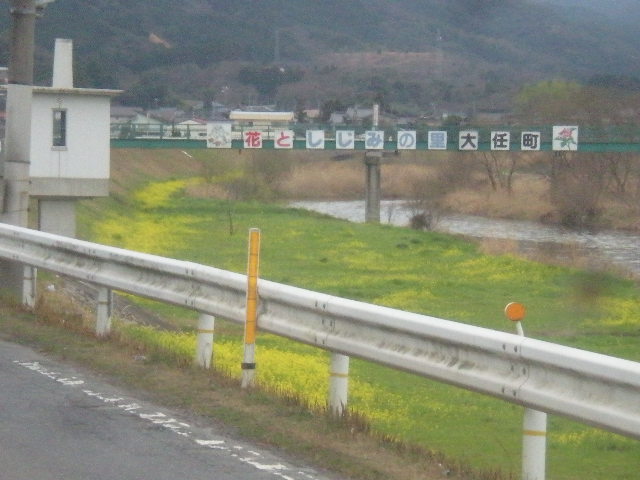 [春花」の季節~~_a0125419_104516.jpg