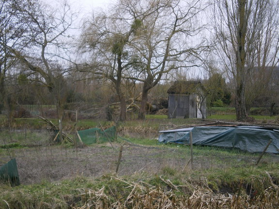 c0124619_1563214.jpg