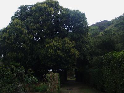 a0147023_2342624.jpg