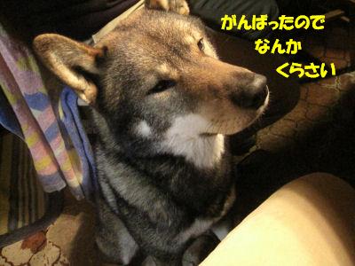 f0143123_2012451.jpg
