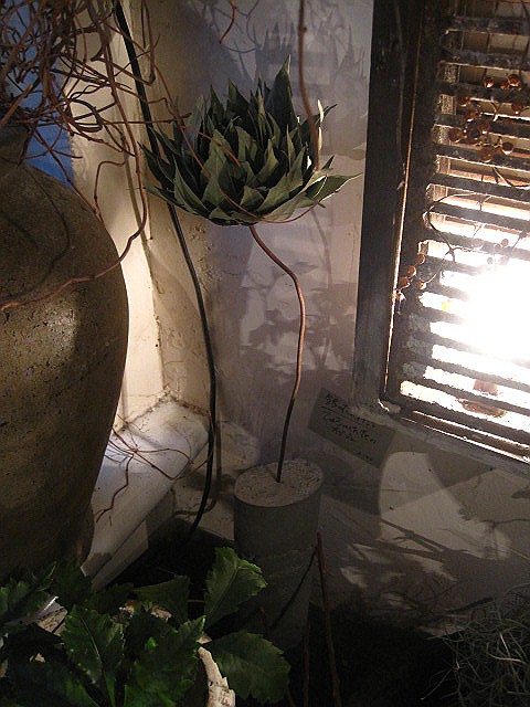 言の葉_c0102228_20505118.jpg