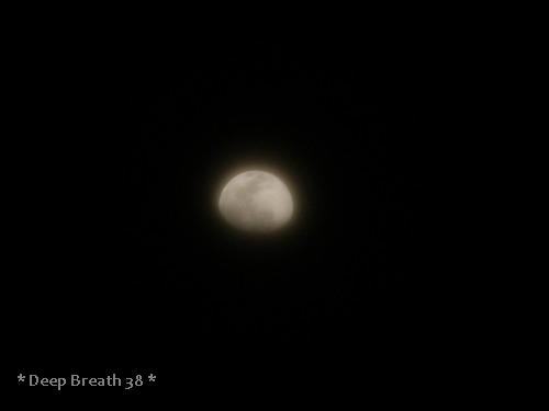 c0210728_20504266.jpg