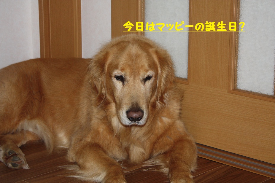 f0114128_20503895.jpg
