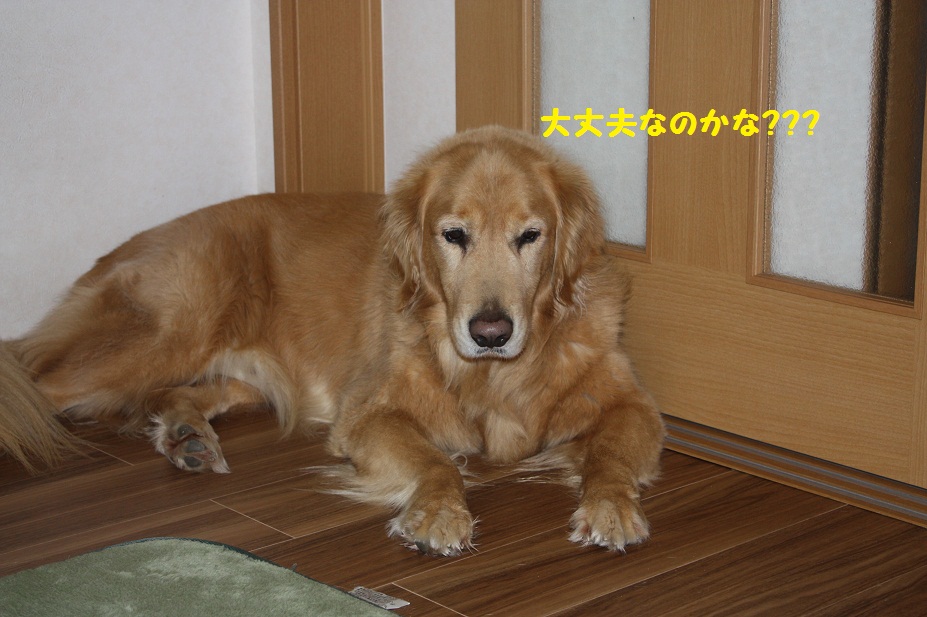 f0114128_2112359.jpg