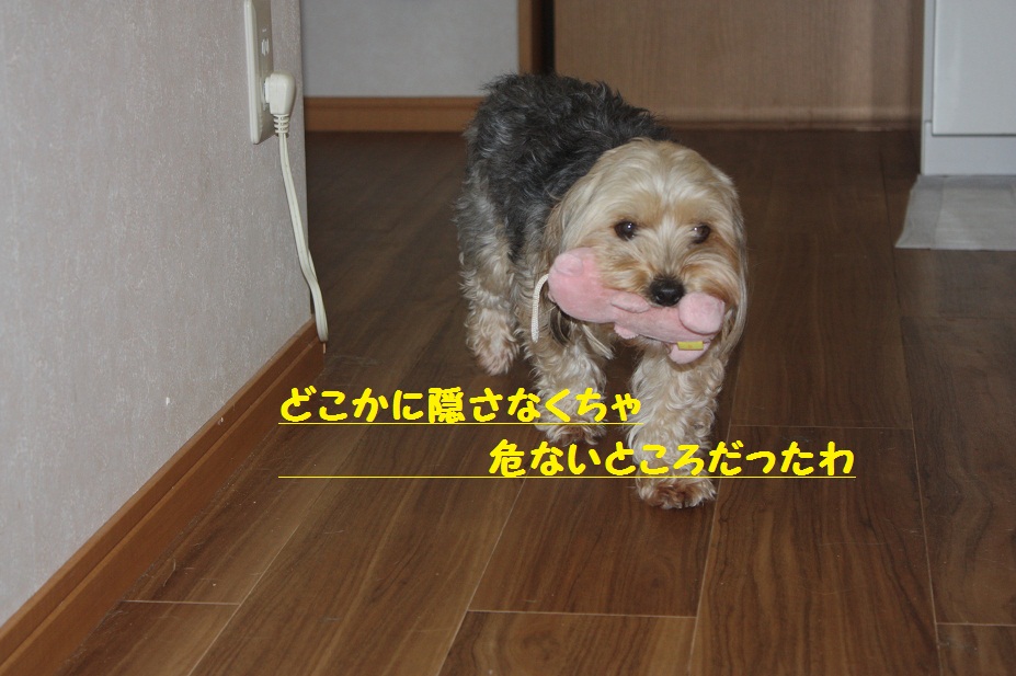 f0114128_211513.jpg