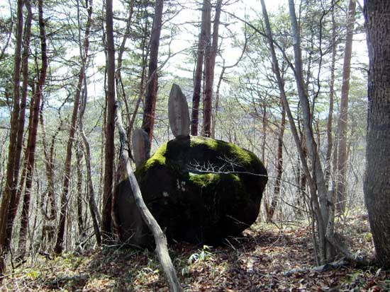 榛名　天狗山は楽しいトレッキング！_d0000031_1625197.jpg