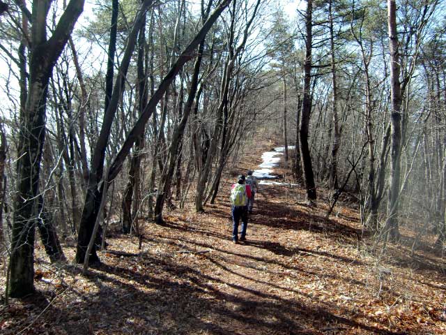 榛名　天狗山は楽しいトレッキング！_d0000031_1674737.jpg