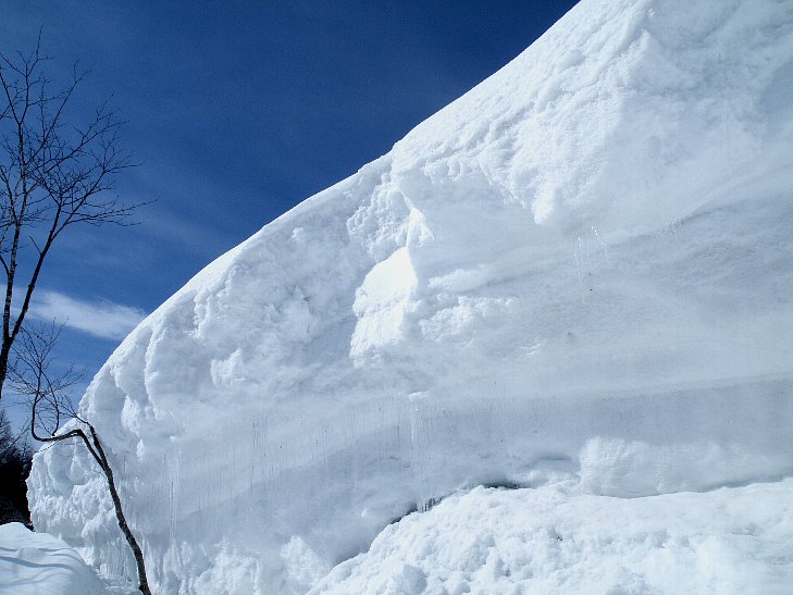 雪旅籠補修・・・の前に_f0118332_21342010.jpg