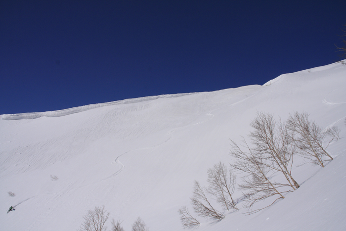 d0147338_0245795.jpg