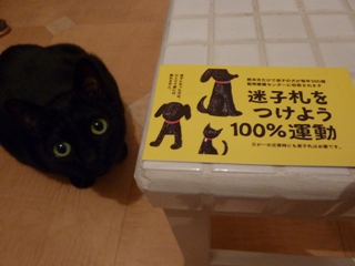 平成21年度熊本市動物取扱責任者研修会。_a0143140_2044612.jpg