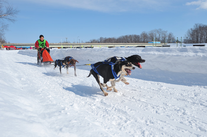 nakasatsunai sled dog race_f0218549_2019333.jpg