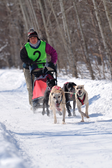 nakasatsunai sled dog race_f0218549_20194375.jpg