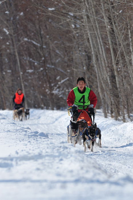 nakasatsunai sled dog race_f0218549_2020496.jpg