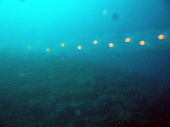e0096370_17182389.jpg
