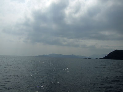 クジラは?_b0033573_0361592.jpg
