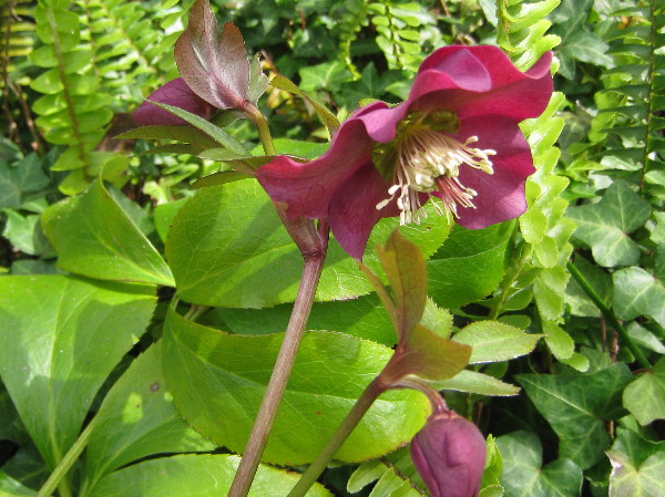 c0132387_2215359.jpg