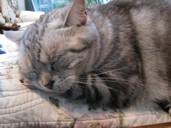 c0132387_22185177.jpg